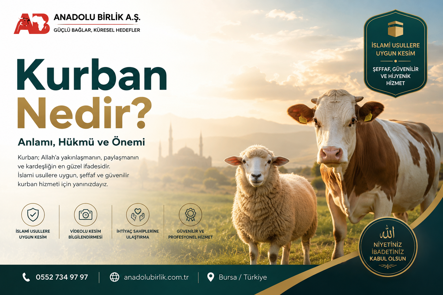 Kurban Nedir?