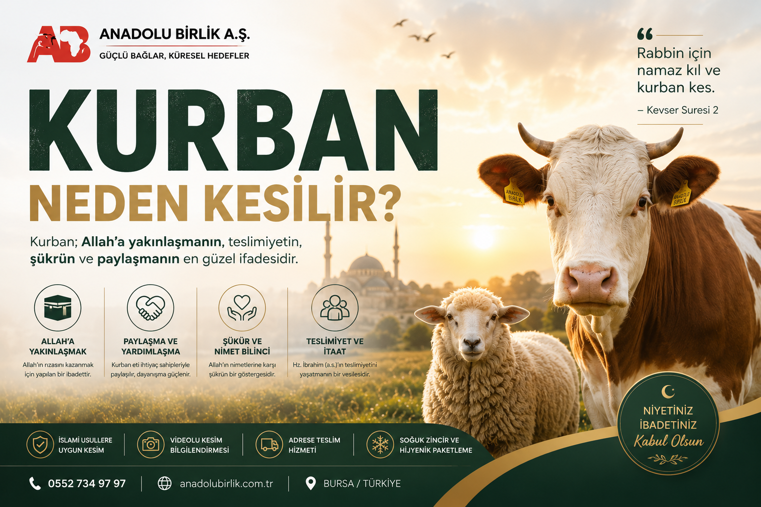 Kurban Neden Kesilir? Kurban İbadetinin Hikmeti ve Amacı | Anadolu Birlik A.Ş.