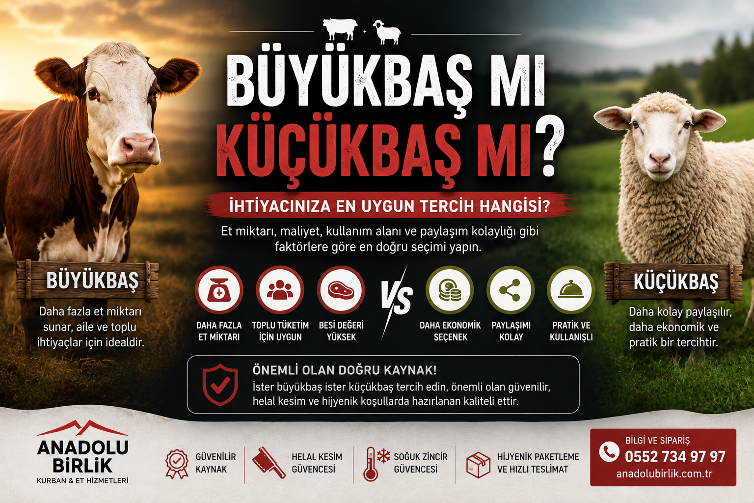 Büyükbaş mı Küçükbaş mı? İhtiyacınıza Göre Doğru Tercih Nasıl Yapılır?
