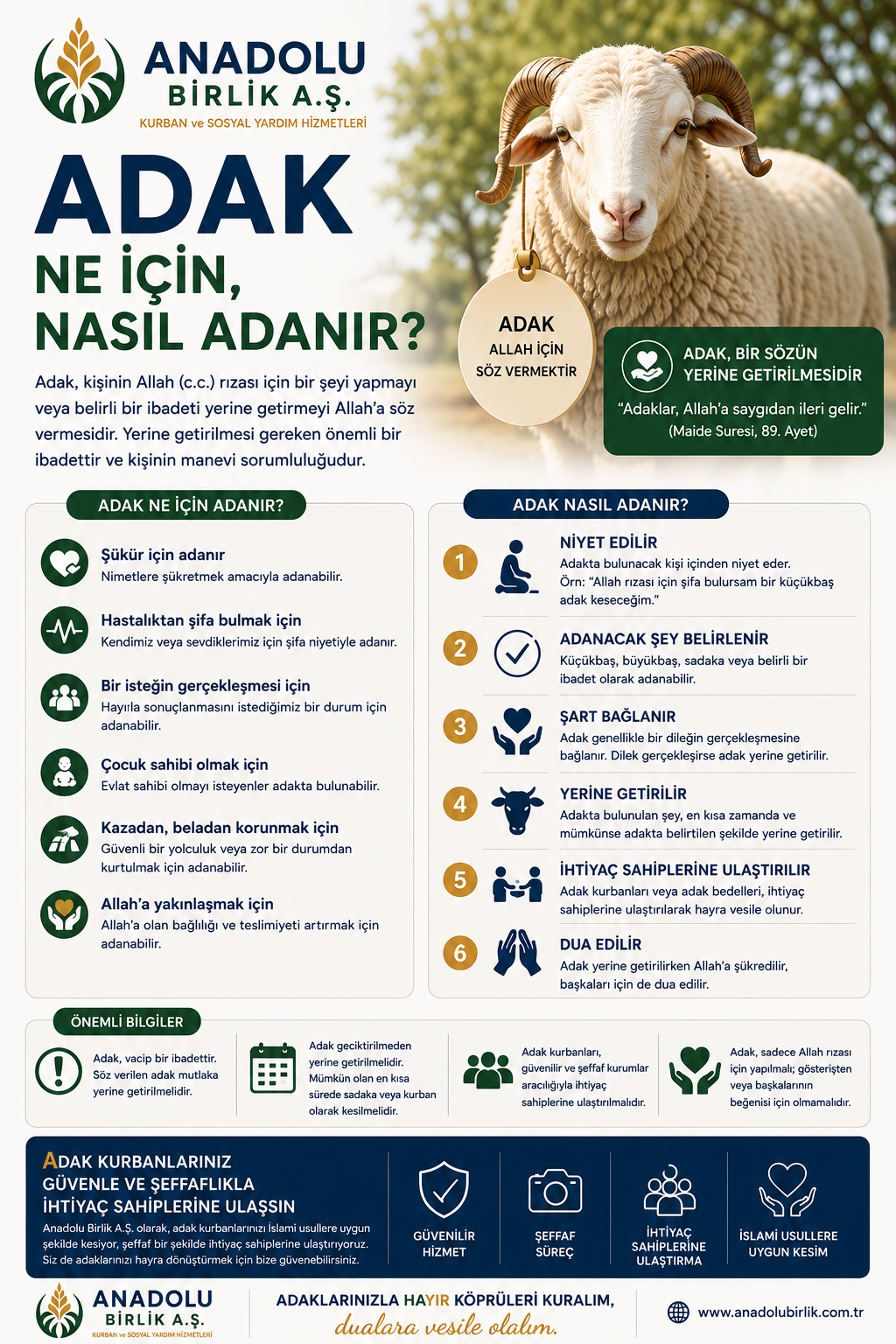 Adak Kestirirken Bilmeniz Gerekenler