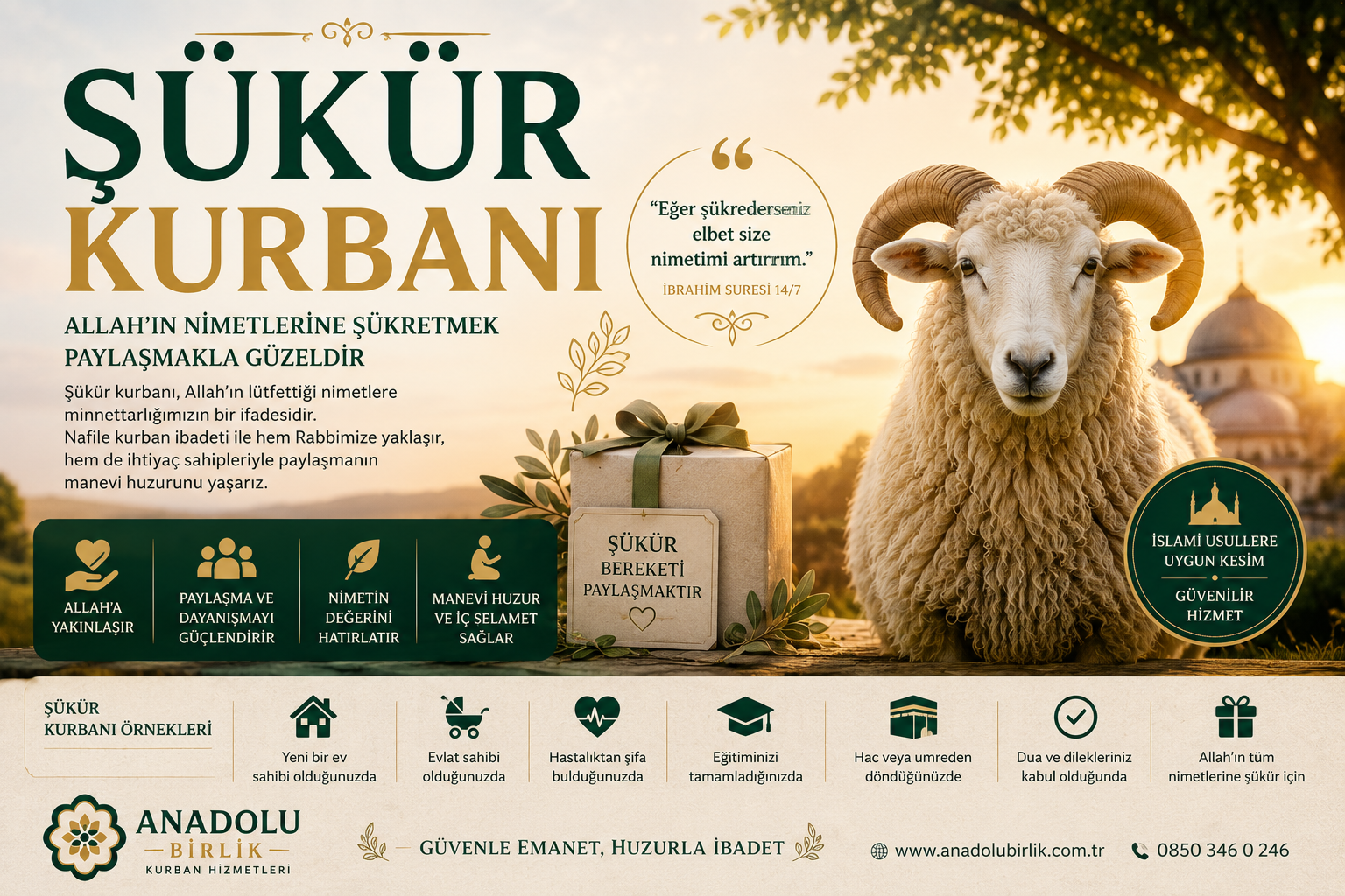 Şükür Kurbanı Nedir? Nafile Kurban Kesmenin Faziletleri ve Hayatımıza Etkileri